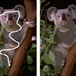 Comparison between CSC and WCSC segmentation results for image 69015. (A) original image, (B) white line showing the selected pattern on the image (C) CSC, (D) WCSC.