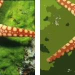 Comparison between CSC and WCSC segmentation results for image 12003. (A) original image, (B) white line showing the selected pattern on the image (C) CSC, (D) WCSC.