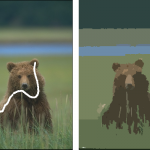 Comparison between CSC and WCSC segmentation results for image 100080. (A) original image, (B) white line showing the selected pattern on the image (C) CSC, (D) WCSC.