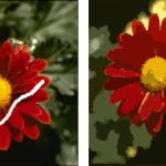 Comparison between CSC and WCSC segmentation results for image 124084. (A) original image, (B) white line showing the selected pattern on the image (C) CSC, (D) WCSC.