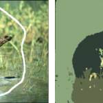 Comparison between CSC and WCSC segmentation results for image 159091. (A) original image, (B) white line showing the selected pattern on the image (C) CSC, (D) WCSC.