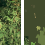 Comparison between CSC and WCSC segmentation results for image 16052. (A) original image, (B) white line showing the selected pattern on the image (C) CSC, (D) WCSC.